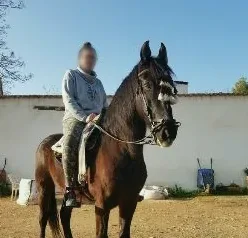Jill, 31