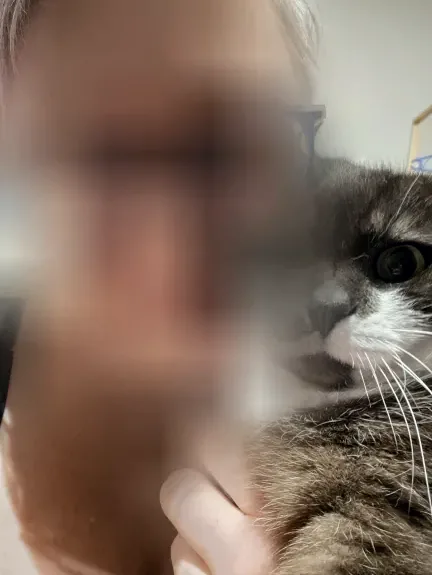 Roos, 40